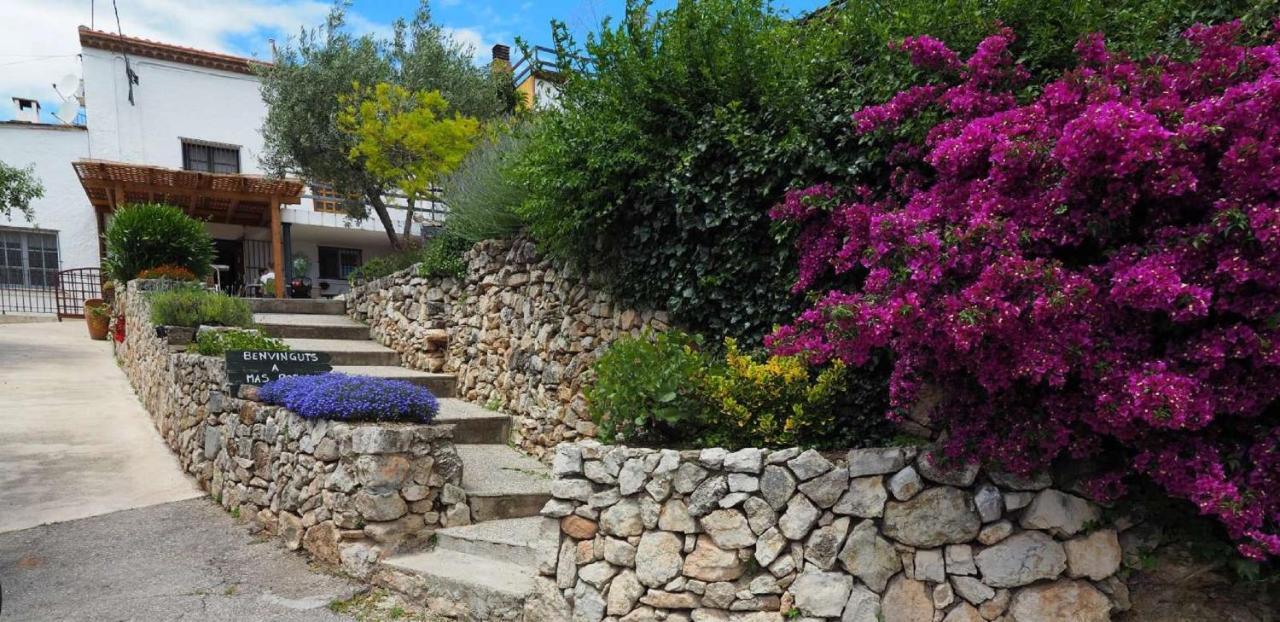 Mas Rosich Bed and Breakfast Alcover Εξωτερικό φωτογραφία