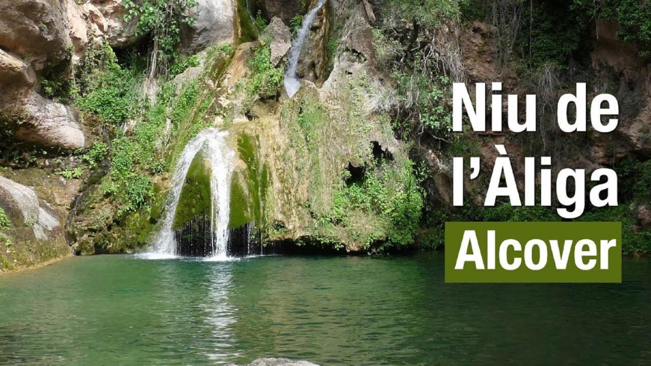 Mas Rosich Bed and Breakfast Alcover Εξωτερικό φωτογραφία